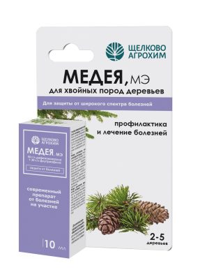 Хвоинка к хвоинке: как защитить хвойные от болезней и вредителей