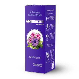 Как вырастить петунии: от рассады до пышного цветения